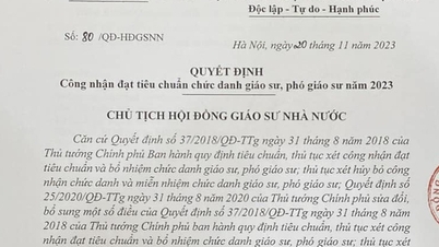 Công nhận 630 nhà giáo đạt chuẩn giáo sư, phó giáo sư đợt xét 2023