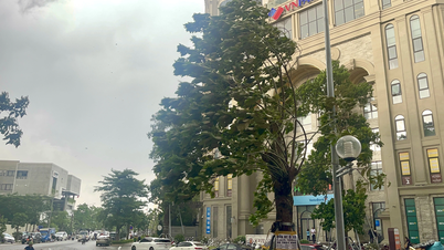 Hà Nội xuất hiện gió lốc kinh hoàng do ảnh hưởng siêu bão Yagi