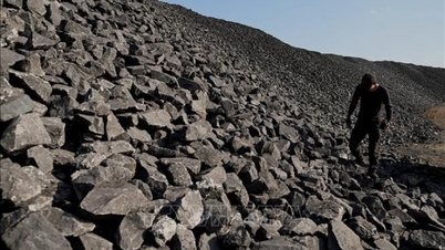 Imports of all kinds of coal increased by nearly 37% in volume over the same period.