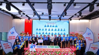 អគ្គនាយក CP វៀតណាម៖ “អមដំណើររដ្ឋាភិបាលឆ្ពោះទៅរកគោលដៅសូន្យសុទ្ធ”
