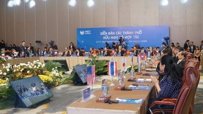 វេទិកាមិត្តភាព និងសហប្រតិបត្តិការទីក្រុងដាណាង