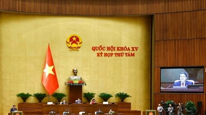 Thảo luận về dự án Luật Quản lý và đầu tư vốn Nhà nước tại doanh nghiệp