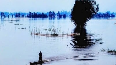 វាលស្រែលិចទឹក កសិករ An Giang លំហែរទូកដើម្បីចាប់ត្រី និងបង្គា