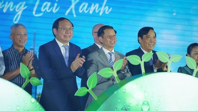 Cần hành động vì một tương lai xanh mang 'tinh thần Việt Nam'