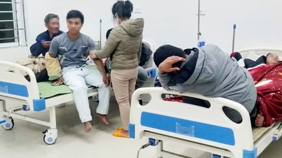 ហូប​ស៊ុប​ផ្សិត​ព្រៃ​៨​នាក់​ពុល