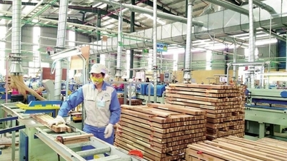 នៅឆមាសទីមួយនៃឆ្នាំ 2024 ការនាំចេញឈើ និងផលិតផលព្រៃឈើនឹងទទួលបាន 7.95 ពាន់លានដុល្លារ