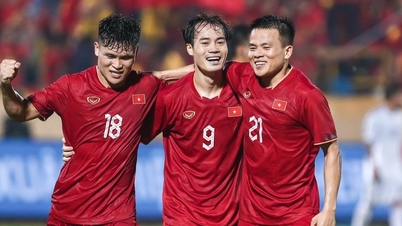 Đội tuyển Việt Nam nhận được bao nhiêu tiền thưởng nếu vô địch AFF Cup?