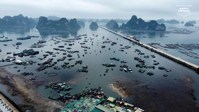 Về Cẩm Phả đến chợ cá Bến Do