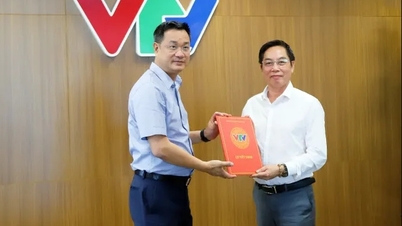 អ្នកកាសែត Nguyen Trong Ninh ត្រូវបានតែងតាំងជានិពន្ធនាយករង VTV Times។