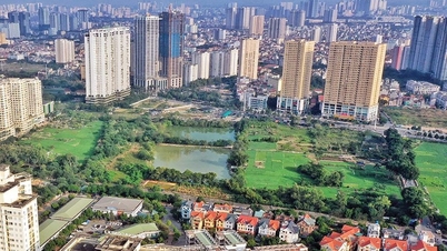 Sớm hoàn thiện Nghị định quy định xử phạt vi phạm hành chính trong lĩnh vực đất đai