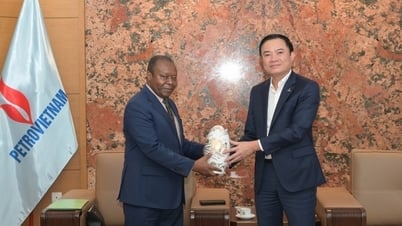 អគ្គនាយកក្រុមហ៊ុន PetroVietnam បានទទួលជួបឯកអគ្គរដ្ឋទូតអង់ហ្គោឡា Agostinho Fernandes ដែលស្នើឡើងដើម្បីជំរុញកិច្ចសហប្រតិបត្តិការជាមួយក្រុមហ៊ុន Sonangol Oil and Gas Group