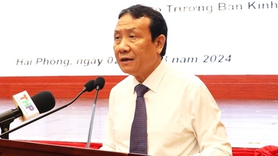 Hai Phong veut créer une zone économique côtière au sud