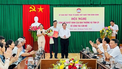 Binh Dinh មានអនុប្រធានថ្មីនៃគណៈកម្មាធិការរណសិរ្សមាតុភូមិវៀតណាមខេត្ត