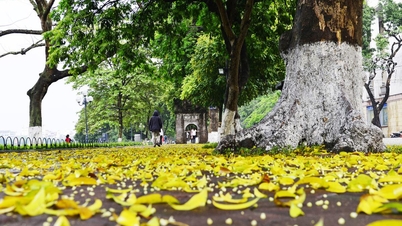 Du khách Sài Gòn mê mùa thu Hà Nội