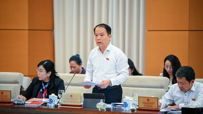 Đề xuất 09 giải pháp thực hiện chính sách, pháp luật về hoạt động của các đơn vị sự nghiệp công lập