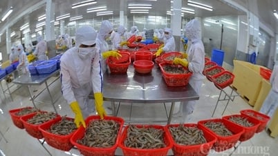 Xuất khẩu thủy sản tăng hơn 60% trong tháng 1/2024