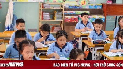 Giảm 200 trường tiểu học trong năm 2023-2024, nguyên nhân do đâu?