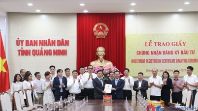 Quảng Ninh trao giấy chứng nhận cho 2 dự án có tổng vốn đầu tư gần 250 triệu USD