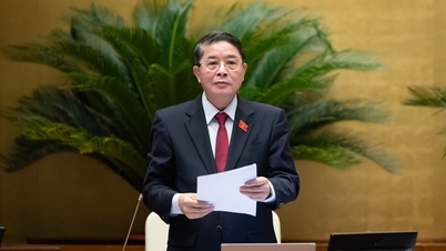 Quốc hội đánh giá cao việc huy động trí tuệ, đóng góp của mọi tầng lớp Nhân dân để hoàn thiện dự thảo Luật Đất đai (sửa đổi)
