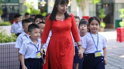 តើ​សាលា​បឋមសិក្សា​ប៉ុន្មាន​នាក់​ដែល​ទីក្រុង​ហូជីមិញ​នឹង​ស្វាគមន៍​ក្នុង​ឆ្នាំ 2023-2024?
