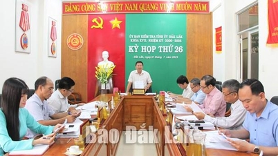 Thông cáo báo chí của Ủy ban Kiểm tra Tỉnh ủy