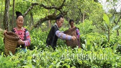 “Cầu nối” giữa cấp ủy, chính quyền với nhân dân