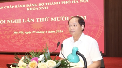 Unifying the framework of the outline of the 18th Congress of the Hanoi Party Committee