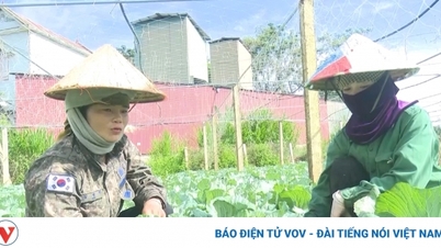 เกษตรกรชาวซอนลามีรายได้ที่มั่นคงจากการปลูกผักปลอดภัยตามความต้องการของตลาด