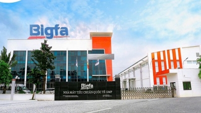 Bigfa tiên phong trong lĩnh vực sản xuất thực phẩm bảo vệ sức khỏe, mỹ phẩm và sữa bột