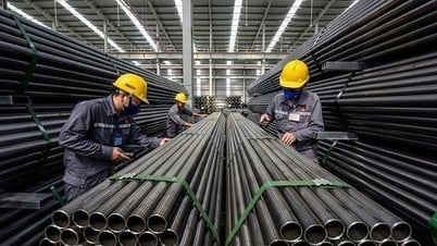 Tien Len Steel (TLH) មានការខាតបង់ជាកំណត់ត្រាក្នុងរយៈពេល 8 ឆ្នាំចុងក្រោយនេះ។
