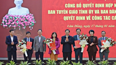 hợp nhất Ban Tuyên giáo và Ban Dân vận Tỉnh ủy