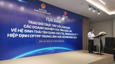Building an ecosystem to take advantage of FTAs ​​to promote coffee exports