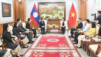 Thúc đẩy hợp tác về công tác văn phòng giữa Việt Nam và Lào
