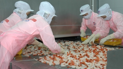 あらゆる種類の魚やエビを米国、中国、EU、ベトナムに販売し、2024年に100億ドルの収益を見込む