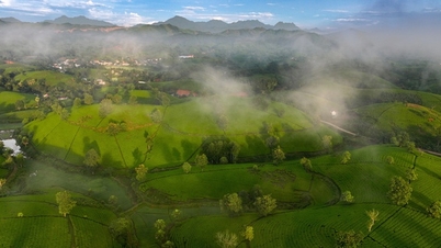 Ngỡ ngàng Long Cốc mùa đẹp nhất trong năm