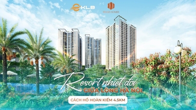 Feliz Homes announces the most beautiful apartment fund in Zen Tower