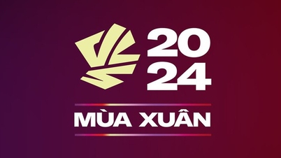 Chưa giải quyết xong tiêu cực, VCS 2024 vẫn tiếp tục thi đấu