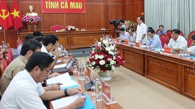 Kiểm điểm, kỷ luật 5 cán bộ trong xử lý vi phạm hành chính