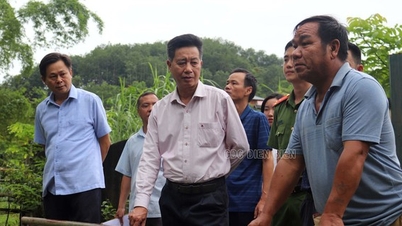 Nhiều người dân nhập viện nghi do nước sinh hoạt nhiễm thuốc trừ cỏ