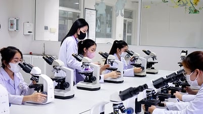 សាកលវិទ្យាល័យ Dong A កំពុងជ្រើសរើសបុគ្គលិក និងបណ្តុះបណ្តាលផ្នែកវេជ្ជសាស្ត្រនៅកម្រិតសាកលវិទ្យាល័យ។
