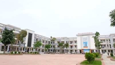 New rural development steps in Quoc Oai district