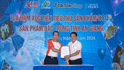 HDBank hợp tác với Trung tâm Xúc tiến Thương mại và Đầu tư tỉnh An Giang tăng sức bật cho doanh nghiệp địa phương