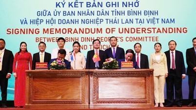 Binh Dinh strengthens connection and promotes tourism investment with Thailand