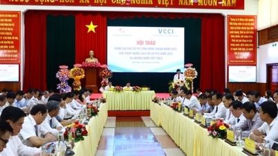 ការងារ​របស់​ប្រធាន​ខេត្ត Ninh Thuan លើ​ការ​កែ​លម្អ​បរិយាកាស​វិនិយោគ​មិន​មាន​ទី​បញ្ចប់​ឡើយ។