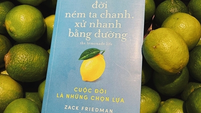 "Đời ném ta chanh, xử nhanh bằng đường": Cuộc đời là những lựa chọn