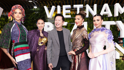 Tôi chưa tìm ra Top 10, Top 5 Miss Grand International 2023