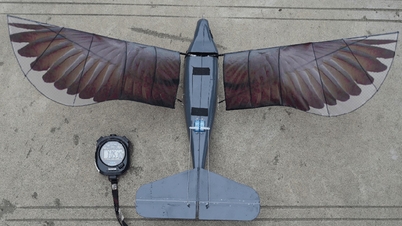 Bird-like plane sets world record