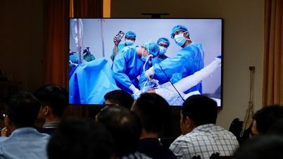 Expertos internacionales llegan a Hue para orientar sobre técnicas modernas de traumatología ortopédica