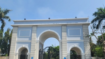 Suspension of operations of American International School AISVN