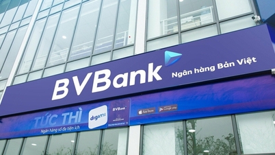 BVBank បានបង្កើនដើមទុនធម្មនុញ្ញរបស់ខ្លួនជាផ្លូវការដល់ 5,500 ពាន់លានដុង